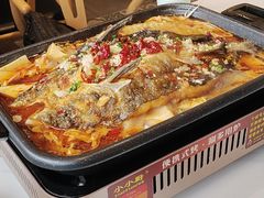 -蜀腾川·火锅鱼.烤鱼(新世界城店)