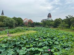 -美兰湖景区