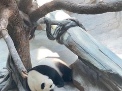 -宁波野生动物园
