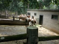 -昆明动物园