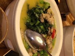 -新白鹿餐厅(龙游路店)