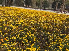 -上海市龙华烈士陵园