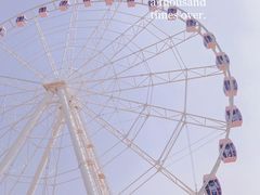 -顾村公园