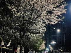 -西北湖绿化广场
