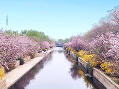 -海棠花溪(元大都城垣遗址公园)