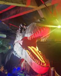 -恐龙探索乐园(磁器口店)