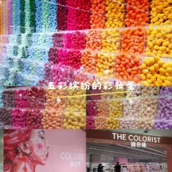 -THE COLORIST调色师