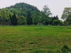-贵州省植物园
