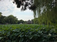 -莲池书院博物馆