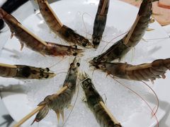 -新一哥粤菜火锅(瑞金店)
