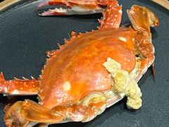 -古京·臻致料理(月湖店)