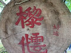 -明仕田园