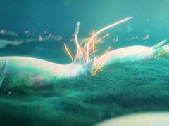 -万达广场(临港店)