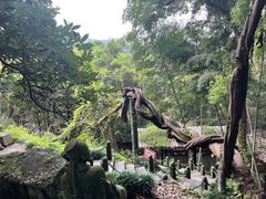 -严子陵钓台(富春江小三峡)