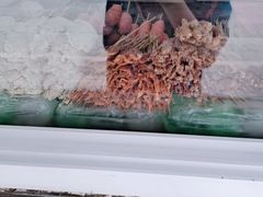 -辽B·小串(总店)