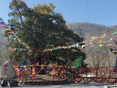 -青峰峡国家森林公园