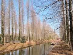 -黄海国家森林公园