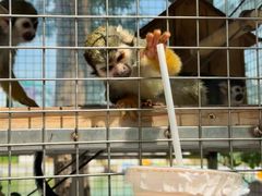 -水上乐园·欢乐世界