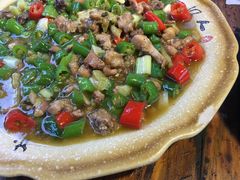 -青城甲(青城山店)