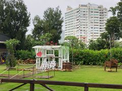 -鹿境梅花鹿生态园区