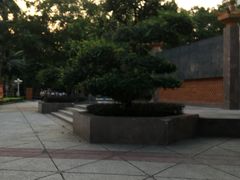 -金砂公园