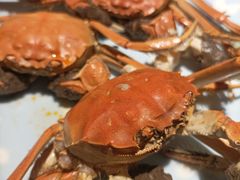 -松子料理(亮马桥店)