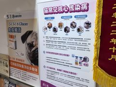 -宠福鑫动物医院(城北分院)