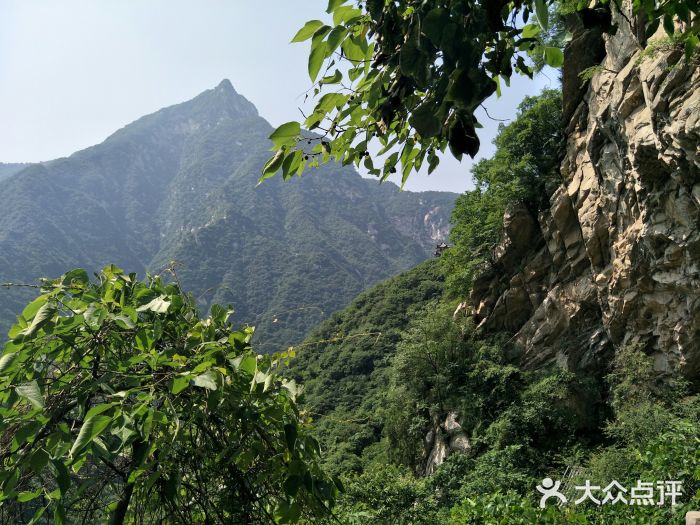 太平万花山景区图片