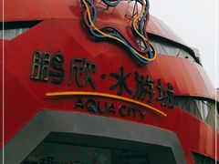 -鹏欣水游城