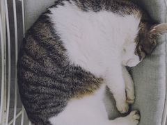 -UNI UNI(环亚凯瑟琳店)