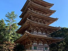 -醍醐寺