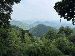 -莫干山风景区