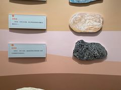 -陕西自然博物馆