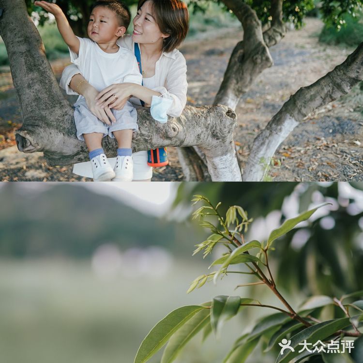 【深圳】初秋出游,千万不要错过红花山的超美粉黛