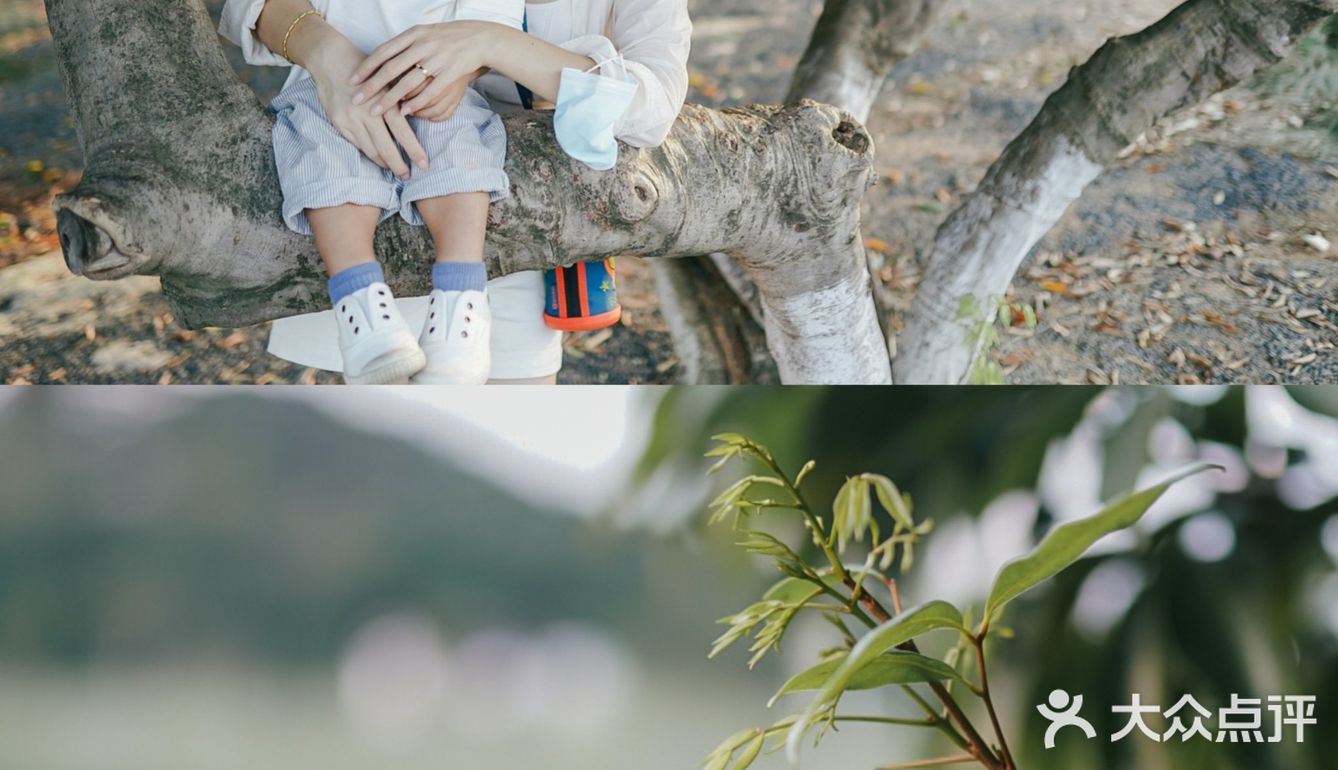 【深圳】初秋出游，千万不要错过红花山的超美粉黛