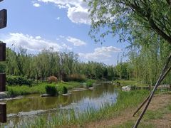 -武清南湖绿博园