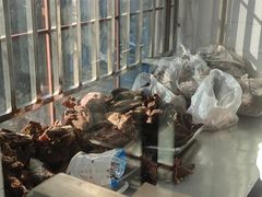 -上海牛羊肉公司塘沽路清真门市部