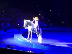 -珠海横琴长隆《卡卡虎奇遇记》