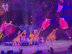 -广州长隆国际大马戏