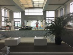 -上海浦东康桥绿地假日酒店