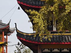 -上海青龙寺