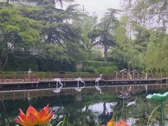 -环城公园