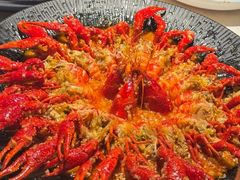 -红盔甲·小龙虾(天钥桥店)