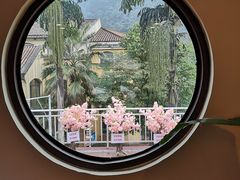 -重庆南山海昌汤都