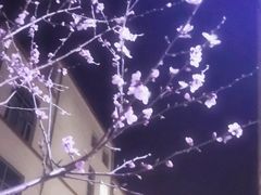 -哈尔滨师范大学(江南校区)
