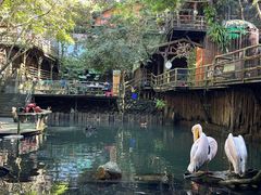 -海南槟榔谷黎苗文化旅游区