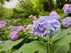 -常州古运河南大街文化旅游区-人民公园