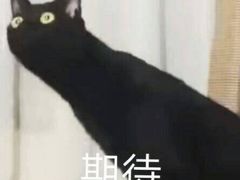 -粤域茶餐厅
