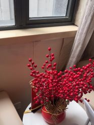 -上海玫瑰医疗美容医院