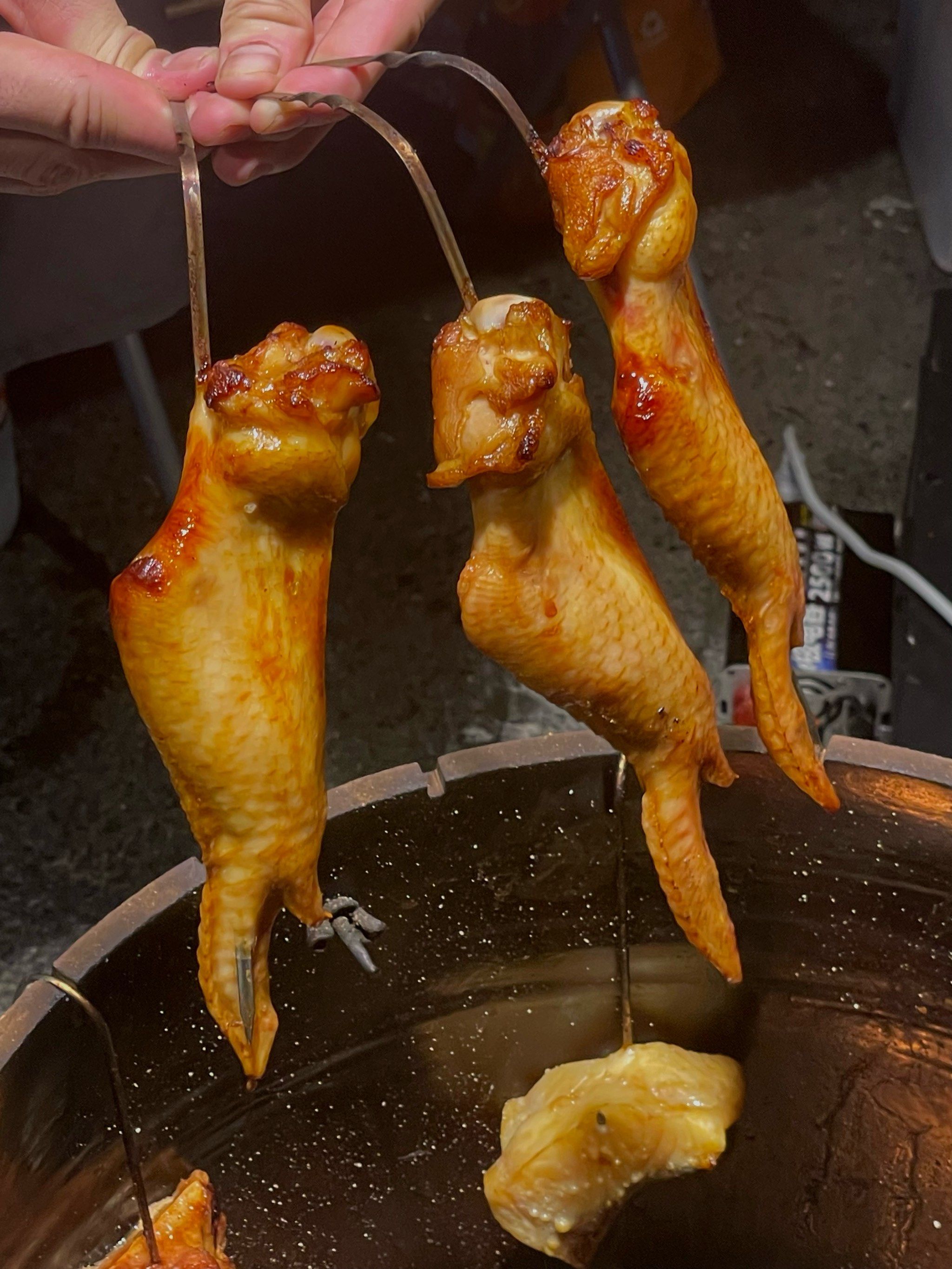 中山人才公园 9r古法吊烧蜜汁鸡翅🍖